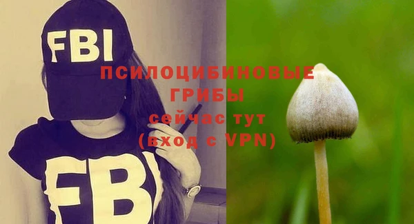 круглые Абаза
