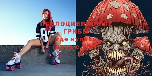 круглые Абаза