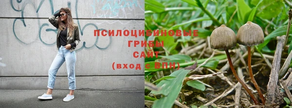 круглые Абаза