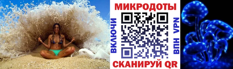 купить закладку Холмск гидра ссылки Псилоцибиновые грибы Magic Shrooms